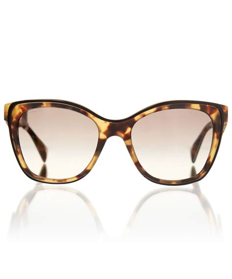 square cat eye sunglasses tortoiseshell.